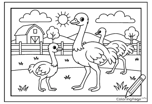 Online coloring page Ostrich Farm