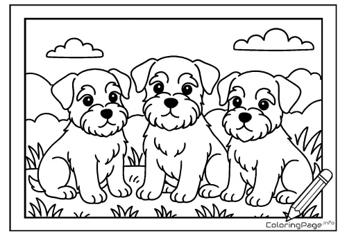 Online coloring page Schnauzer Puppies