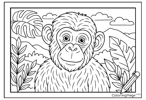 Online coloring page Smiling Chimpanzee