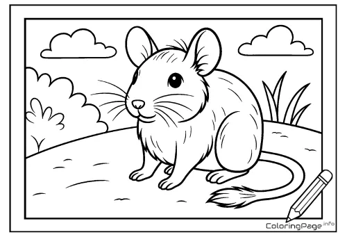 Online coloring page Degu in a Meadow