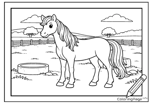 Online coloring page Little Horse