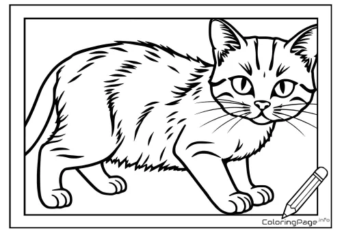 Online coloring page Cat