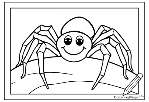 Online coloring page Little Spider