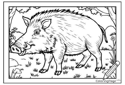 Online coloring page Wild Boar